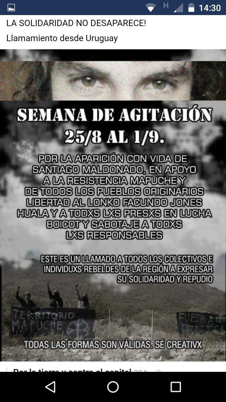 Caso Santiago Maldonado: preocupación por ataques en sedes diplomáticas y llamados a la "agitación"