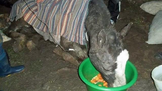 Mientras esperaban realizar el traslado al campo, la noche del rescate