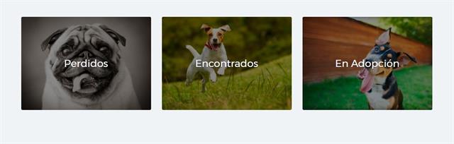 Buscando huellas