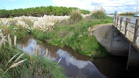 El cadáver había sido hallado a la vera del arroyo La Totora, entre Miramar y Mar del Sud