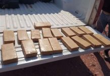 Salta: Desbaratan banda narco con secuestro de drogas, vehículos, armas y dinero