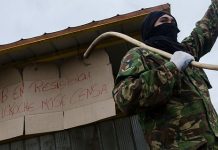Conflicto mapuche: la disputa interminable que inquieta a Chile