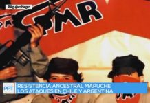 Mario Cimadevilla: “El grupo mapuche RAM comete delito de sedición”